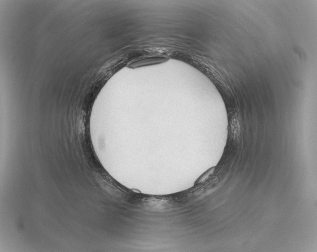 X0000115790570200912111150