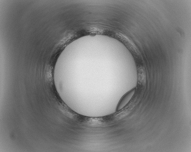 X0000115790573200912111150