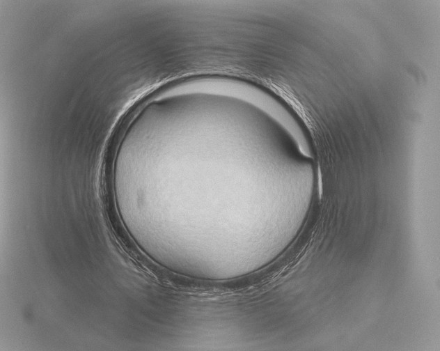 X0000115790579200912111150