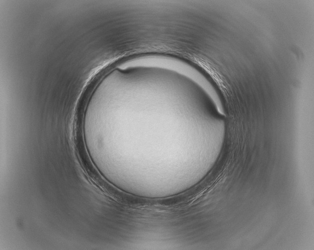 X0000115790583200912111150