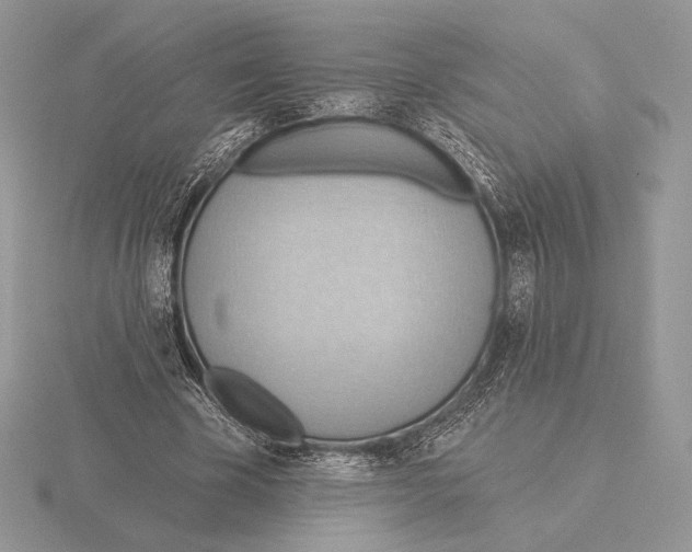 X0000115790585200912111150