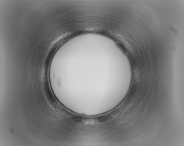 X0000115790587200912111150