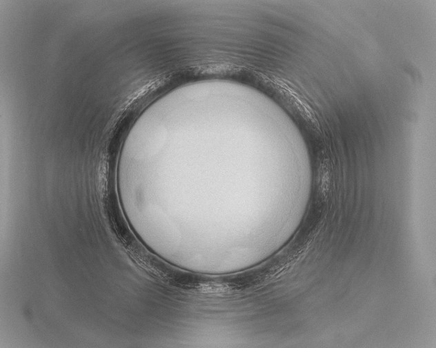X0000115790591200912111150