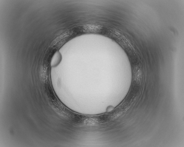 X0000115790599200912111150