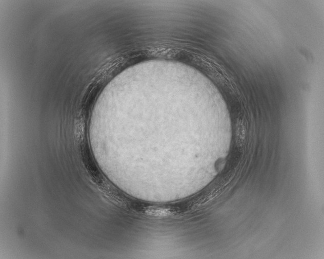 X0000115790602200912111150