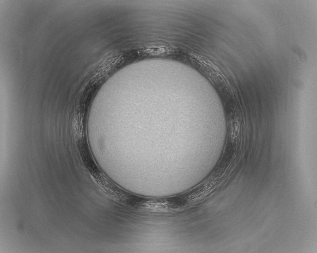 X0000115790606200912111150