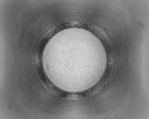 X0000115790607200912111149