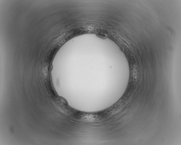 X0000115790611200912111149