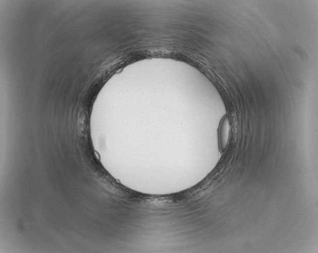 X0000115790619200912111149