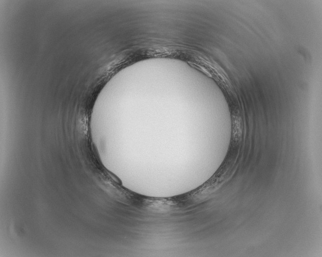 X0000115790621200912111149