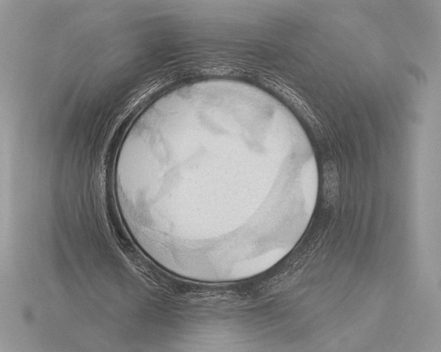 X0000115790626200912111149