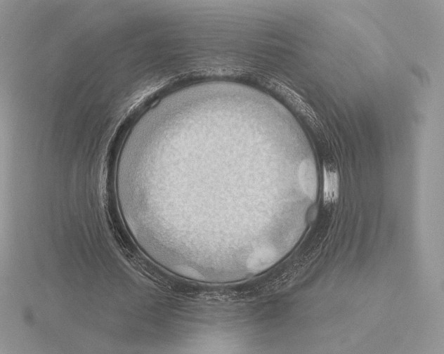 X0000115790627200912111149