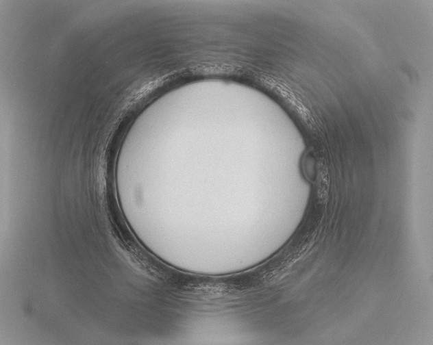 X0000115790631200912111149