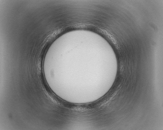 X0000115790633200912111149