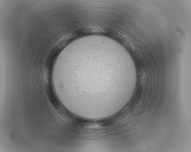 X0000115790643200912111149