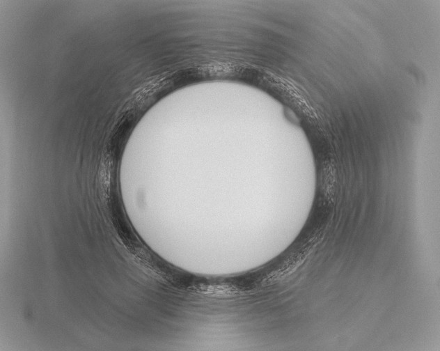 X0000115790645200912111149