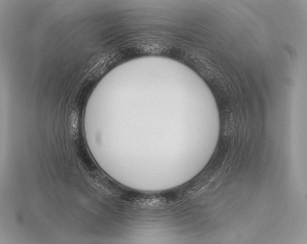 X0000115790646200912111149