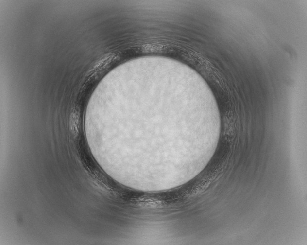X0000115790648200912111149