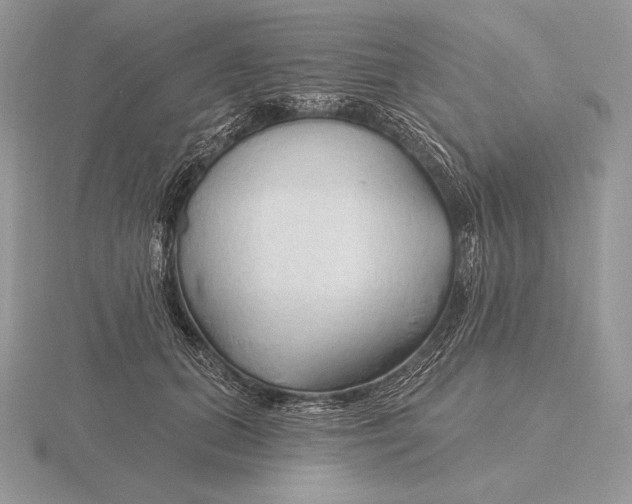 X0000115790655200912111149