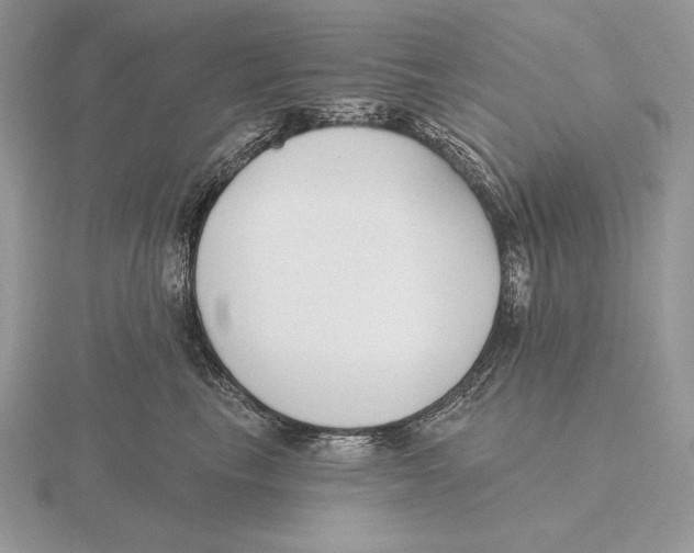 X0000115790665200912111149