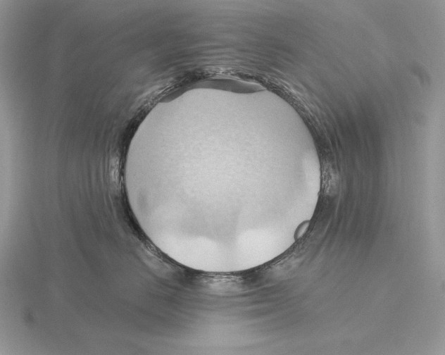 X0000115790670200912111149