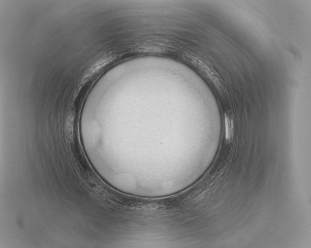 X0000115790675200912111149
