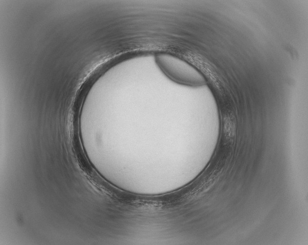 X0000115790676200912111149