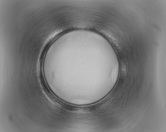 X0000115790678200912111149