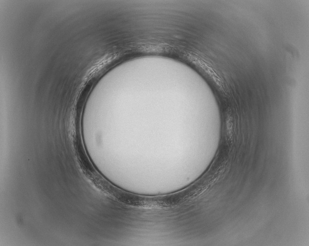 X0000115790682200912111149