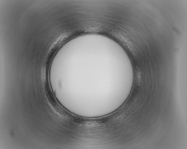 X0000115790686200912111148
