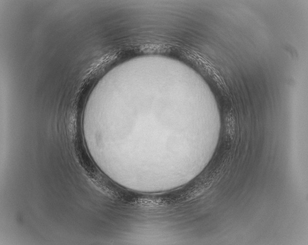 X0000115790690200912111148