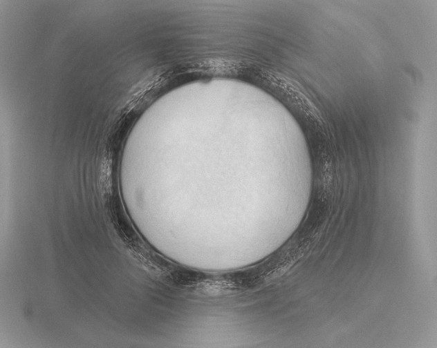X0000115790696200912111148