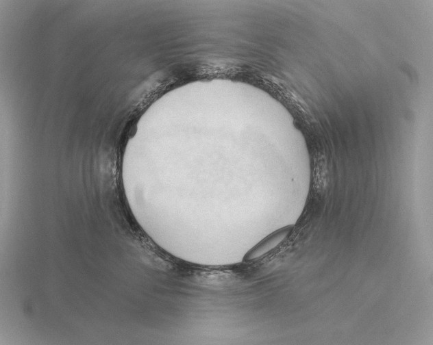 X0000115790716200912111148