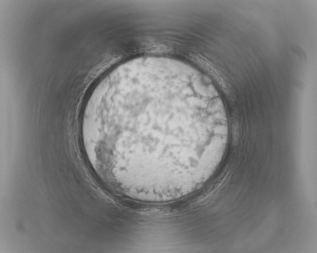 X0000115790721200912111147