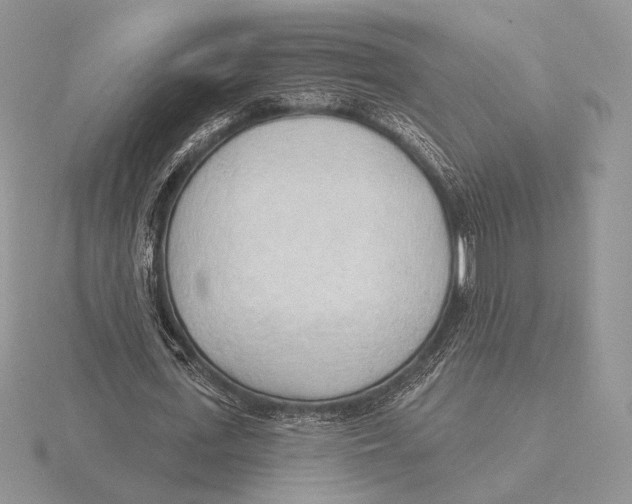 X0000115790723200912111147