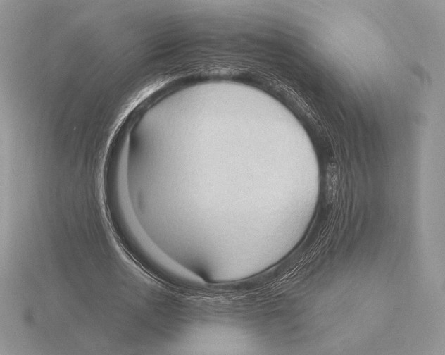 X0000115790726200912111147