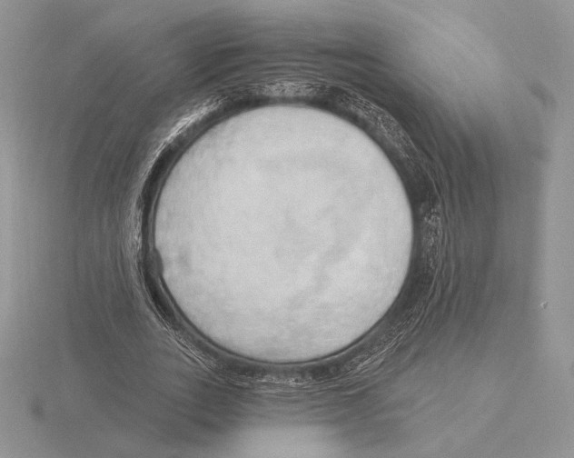 X0000115790727200912111147