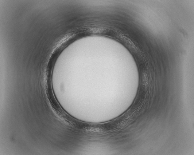 X0000115790730200912111147