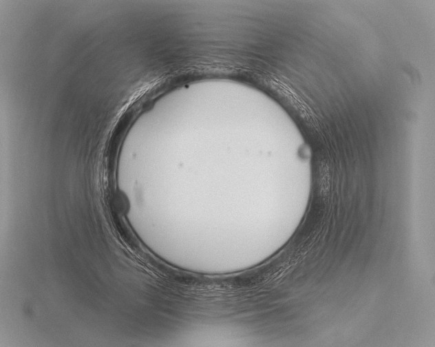 X0000115790731200912111147