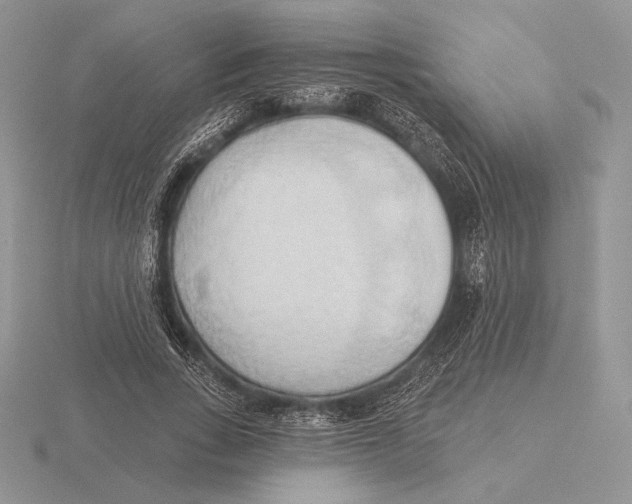 X0000115790735200912111147