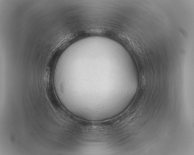 X0000115790739200912111147