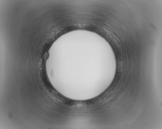 X0000115790750200912111148