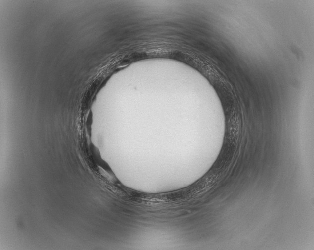 X0000115790755200912111148