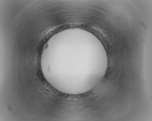 X0000115790773200912111147