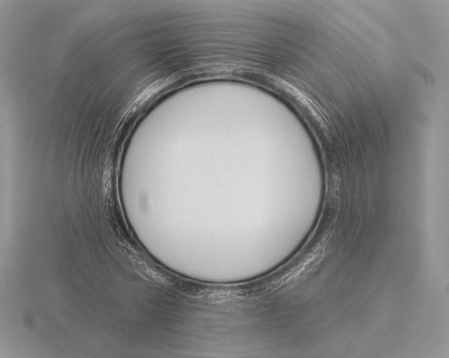 X0000115790778200912111147