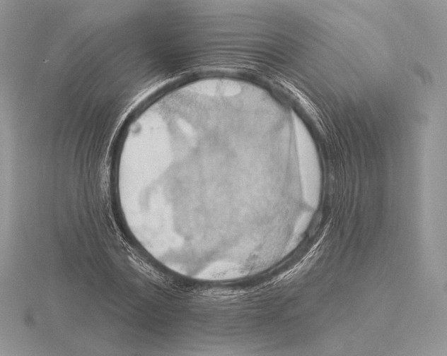 X0000115790779200912111147