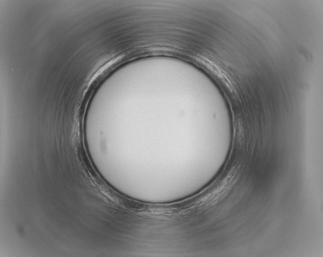 X0000115790782200912111147