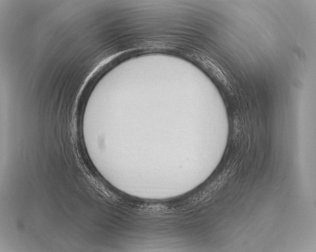 X0000115790784200912111147