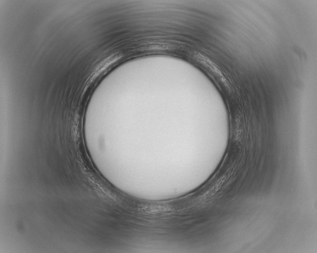 X0000115790786200912111147