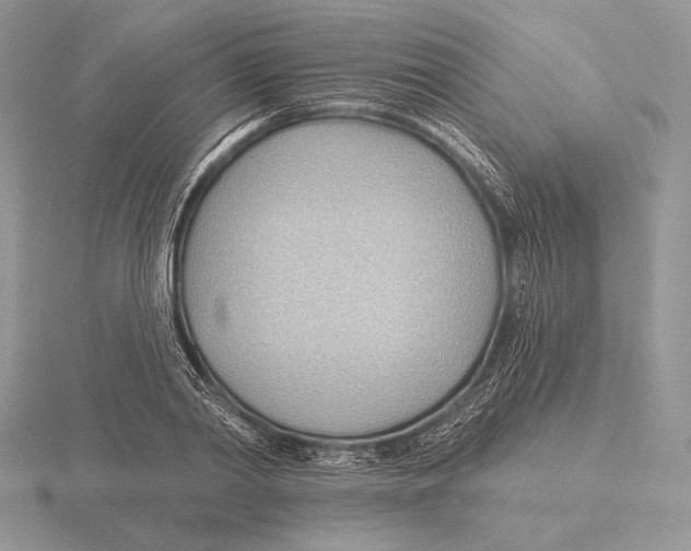 X0000115790790200912111147